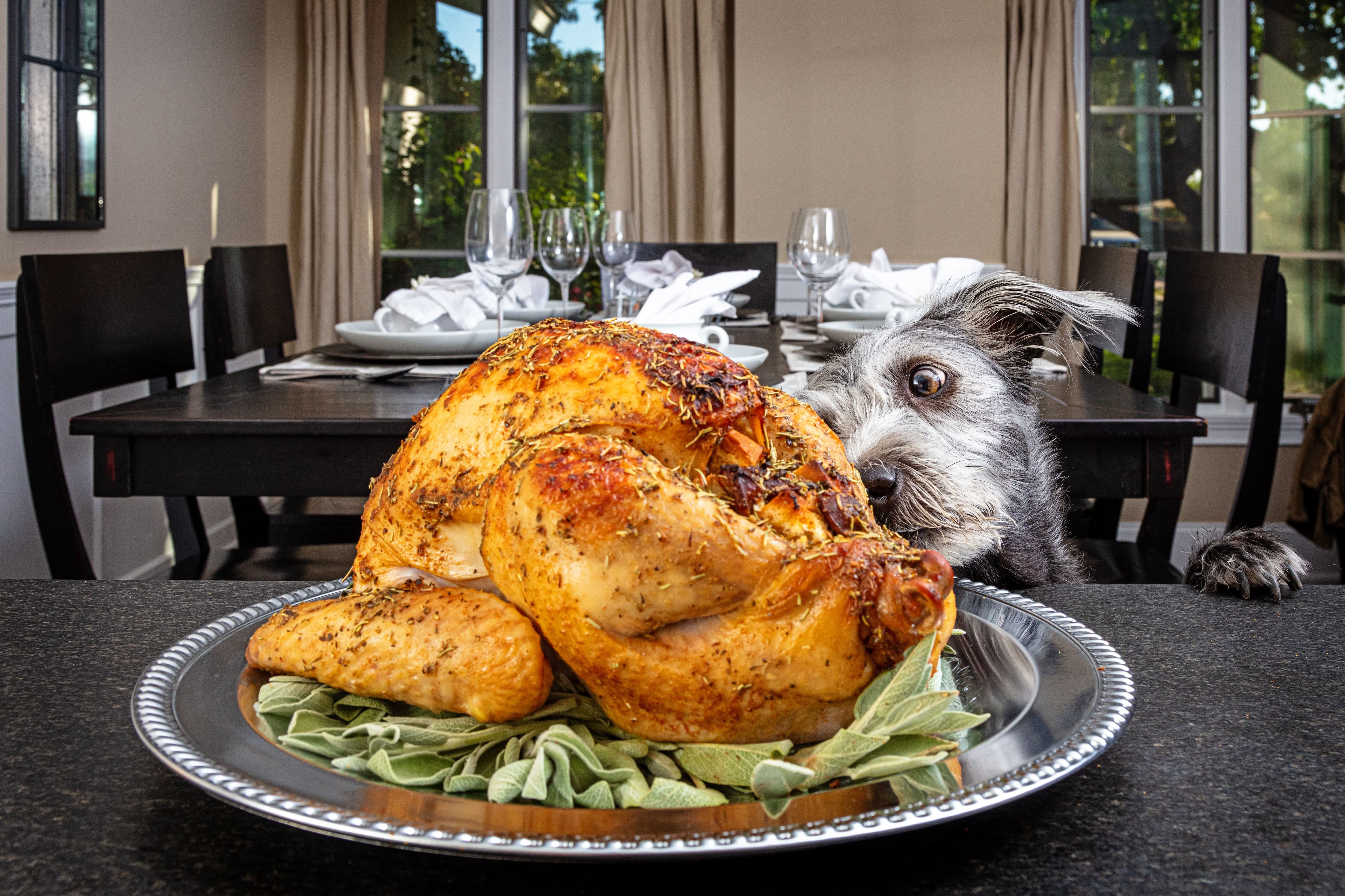 Thanksgiving disasters: What does homeowners insurance bring to the table?